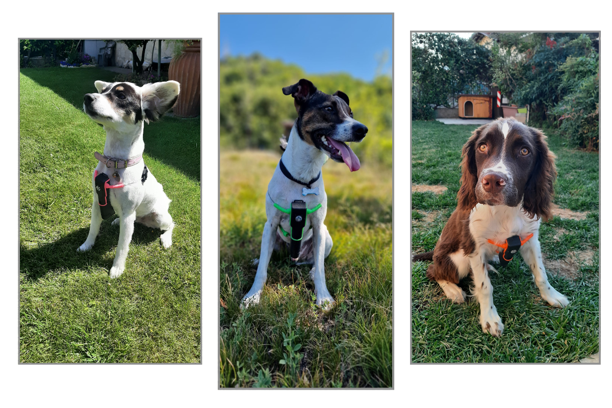 GAIA<sup>®</sup>, per il tuo cane